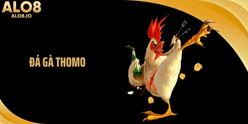 Đá Gà Thomo ALO8 - Nhịp Đấu Thực Chiến Đang Thu Hút Kê Thủ