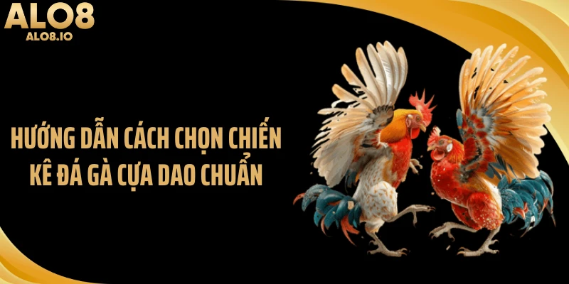 Hướng dẫn cách chọn chiến kê đá gà cựa dao chuẩn
