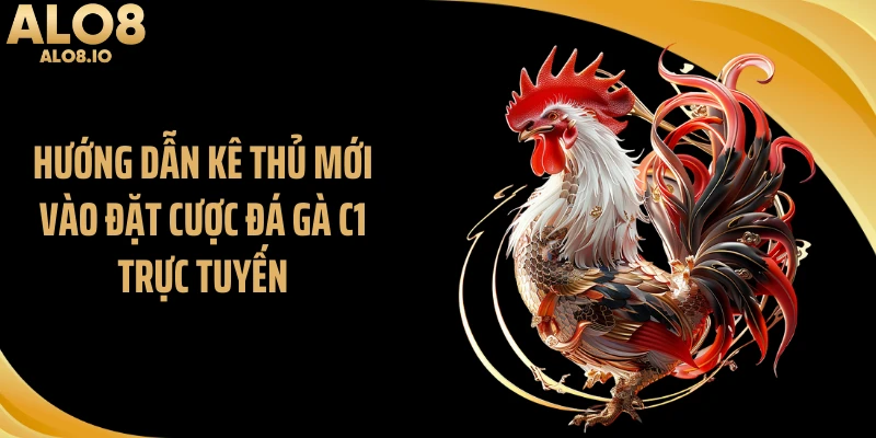 Hướng dẫn kê thủ mới vào đặt cược đá gà C1 trực tuyến